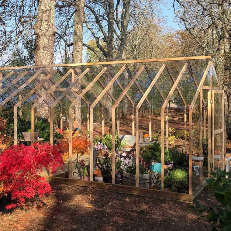 serre de jardin bois