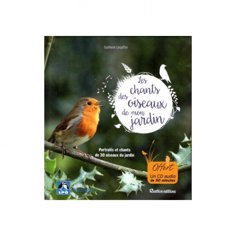 chant d oiseaux de nos jardins
