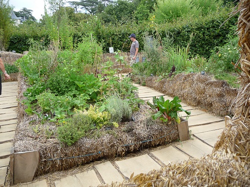 jardin sur botte de paille