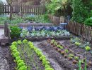 40 Stunning Vegetable Garden Design Ideas Perfect For ... destiné Aménagement Potager Idées