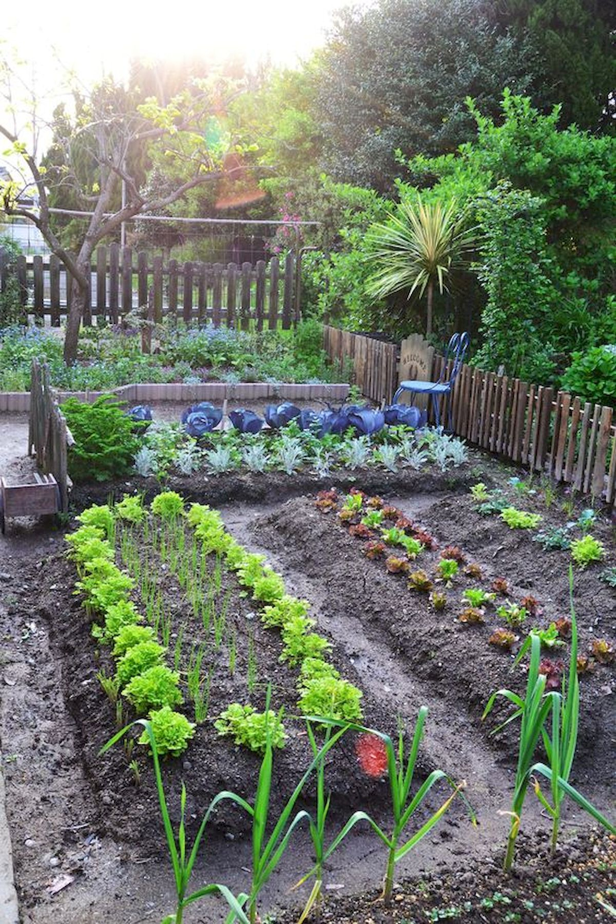  simple vegetable garden design