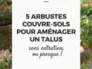 5 Arbustes Couvre-Sols Pour Aménager Un Talus (Avec Images ... tout Aménager Un Talus Photos