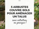 5 Arbustes Couvre-Sols Pour Aménager Un Talus | Couvre Sol ... pour Aménager Un Talus