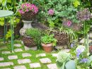7 Astuces Pour Une Mousse Décorative Au Jardin | Détente Jardin concernant Jardin Japonais Plantes Couvre-Sol
