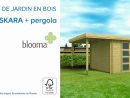 Abri De Jardin Bois + Pergola Blooma Skara 8 + 4,5M² Pas ... destiné Abri De Jardin Metal 5M2 Castorama