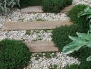 Allées De Jardin En Bois Pour Être Plus Proche De La Nature ... intérieur Couvre Sol Jardin Japonais