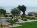 Ambiance Méditerranéenne | Creation Jardin, Jardins, Photo ... concernant Idee Massif Mediterraneen