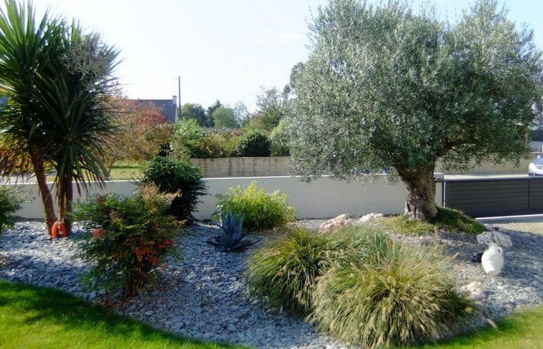 Ambiance Méditerranéenne | Jardin Méditerranéen, Creation ... dedans Idee Massif Mediterraneen