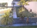 Aménagement D'un Jardin Moderne Avec Des Plantes Exotiques ... avec Aménagement Jardin Moderne