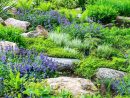 Aménagement D'une Butte Dans Le Jardin – Jardiner Malin dedans Aménager Un Talus En Pente