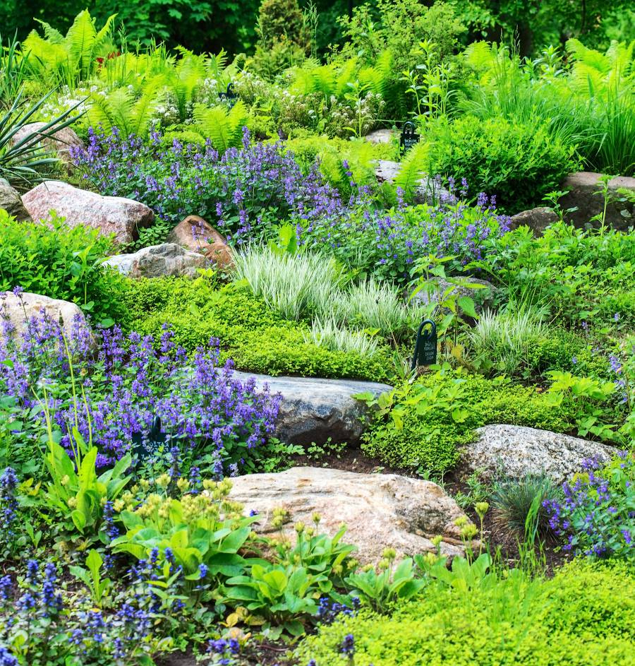 Aménagement D'une Butte Dans Le Jardin – Jardiner Malin dedans Aménager Un Talus En Pente