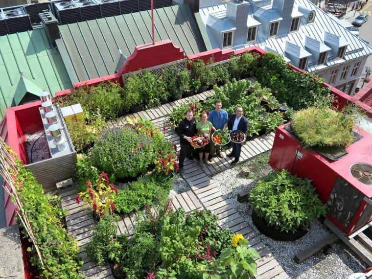 Aménager Un Toit Terrasse - Ikare France à Terrasse Jardin Inaccessible