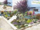Awesome Logiciel Paysagiste 3D Gratuit | Plants à Logiciel 3D Gratuit Jardin