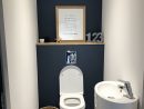 Best Of Peinture Toilettes Idée | Idée Déco Toilettes, Deco ... concernant Peinture Wc Moderne