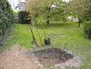 Conseils Jardinage : Planter Le Bon Arbre À La Bonne Place ! avec Jardin Arbre