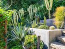 Déco Style Industriel Au Jardin : 30+ Idées Pour La Faire ... encequiconcerne Idée Déco Jardin