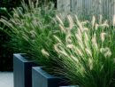Einzigartige Bepflanzung: Moderne Grüne Brutfläche Pro ... encequiconcerne Jardin Moderne