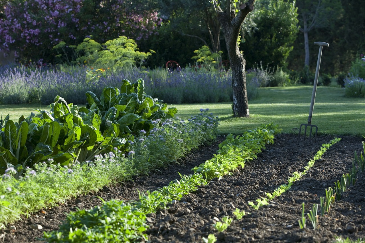 Entretiens De Jardin - .-Guy17-Fr.fr tout Tarif Horaire Entretien Jardin