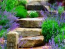 Escalier De Jardin Extérieur Fleuri À Base De Plantes En ... à Exterieur Jardin