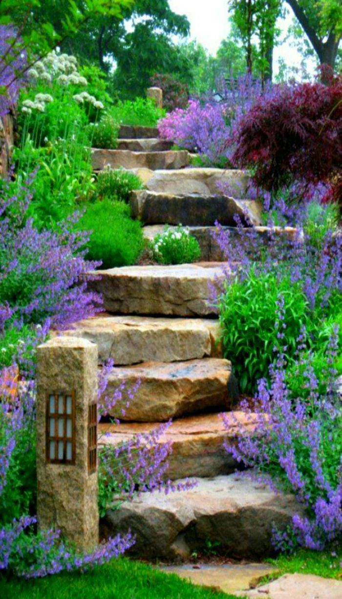 Escalier De Jardin Extérieur Fleuri À Base De Plantes En ... à Exterieur Jardin