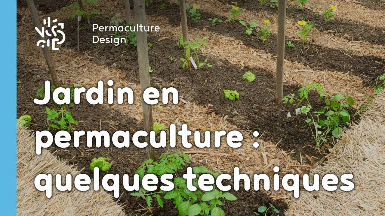 Exemple De Techniques Pour Un Jardin Potager En Permaculture avec Exemple Plan Potager Permaculture