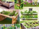 Fabriquer Un Potager Surélevé Et Cultiver Hors-Sol concernant Créer Des Bacs De Jardin Avec Des Palettes
