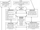 Figure 9 From L'influence De La Financiarisation Sur Les ... destiné Conception De Plan De Regime