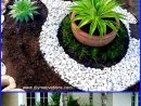 Garden Decoration Ideas | Decoration Jardin, Décoration ... pour Décoration Jardin Maison