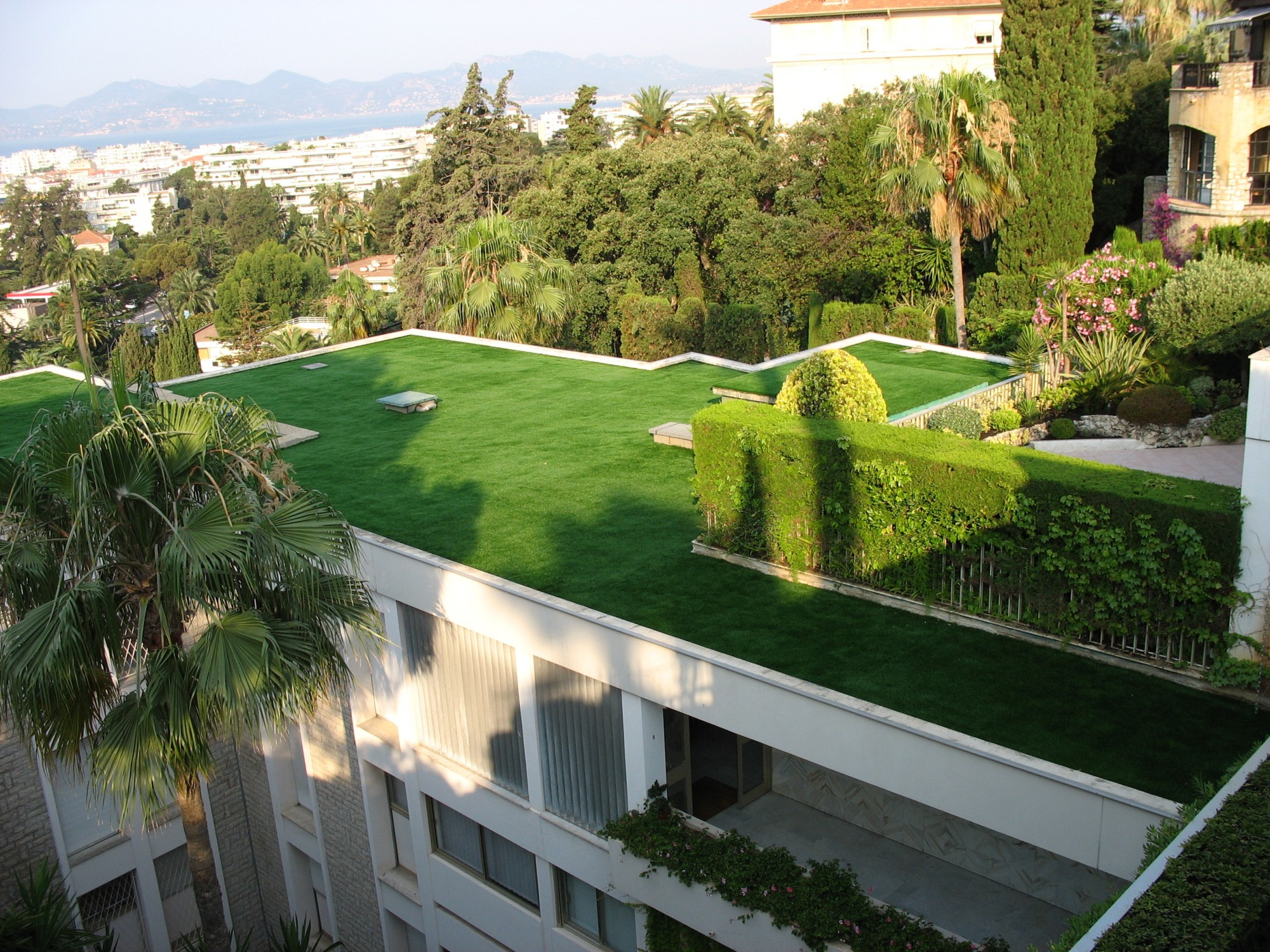 Gazon Synthétique Pour Jardin Ou Surface Sportive - Univers ... avec Terrasse Jardin Inaccessible