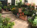 Hortelli - Petits Jardins Et Beaux Objets En Cœur De Ville À ... encequiconcerne Amnager Dcorer Son Jardin