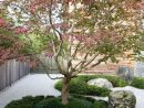 Inspiring Small Courtyard Garden Design For Your House ... dedans Abri De Jardin Style Japonais