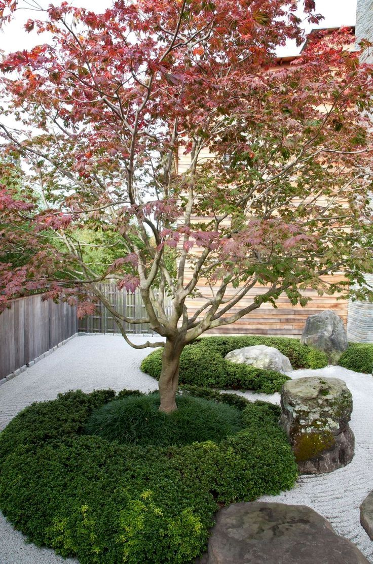 Inspiring Small Courtyard Garden Design For Your House ... dedans Abri De Jardin Style Japonais