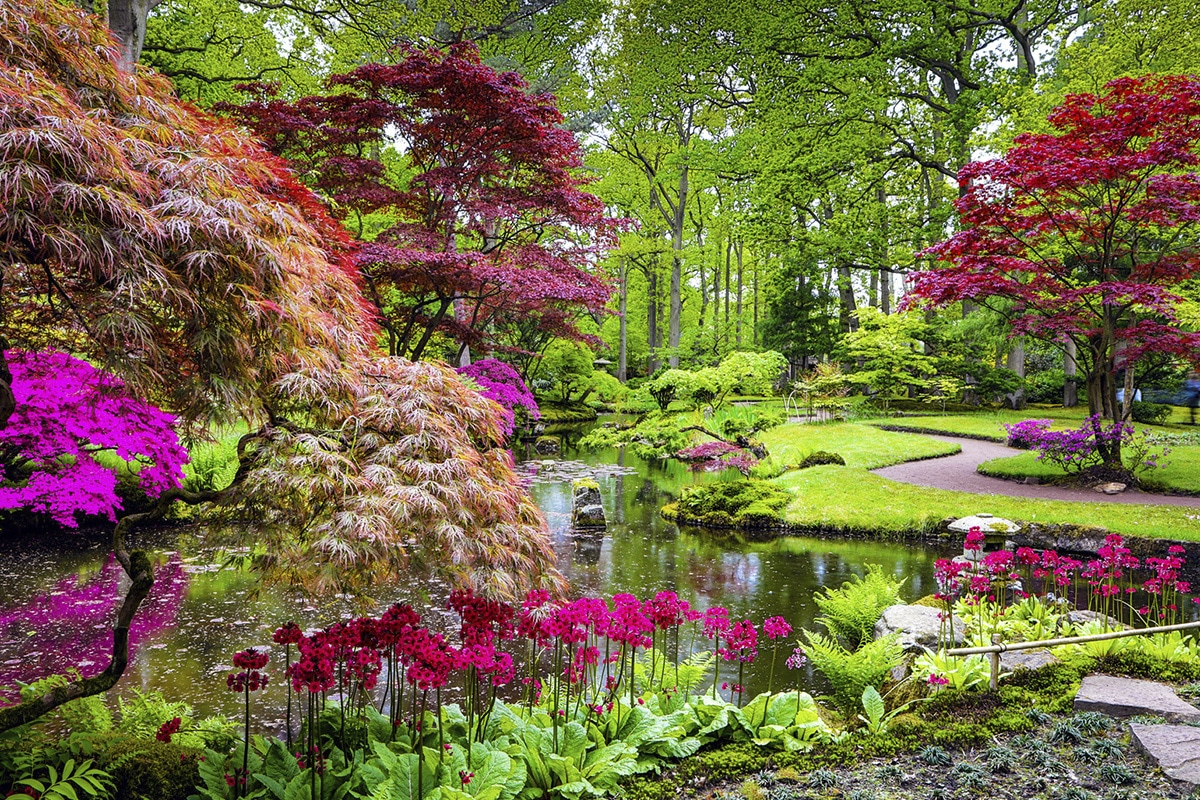 Jardin-Japonais-2 - Jardinerie Toulousaine pour Couvre Sol Jardin Japonais