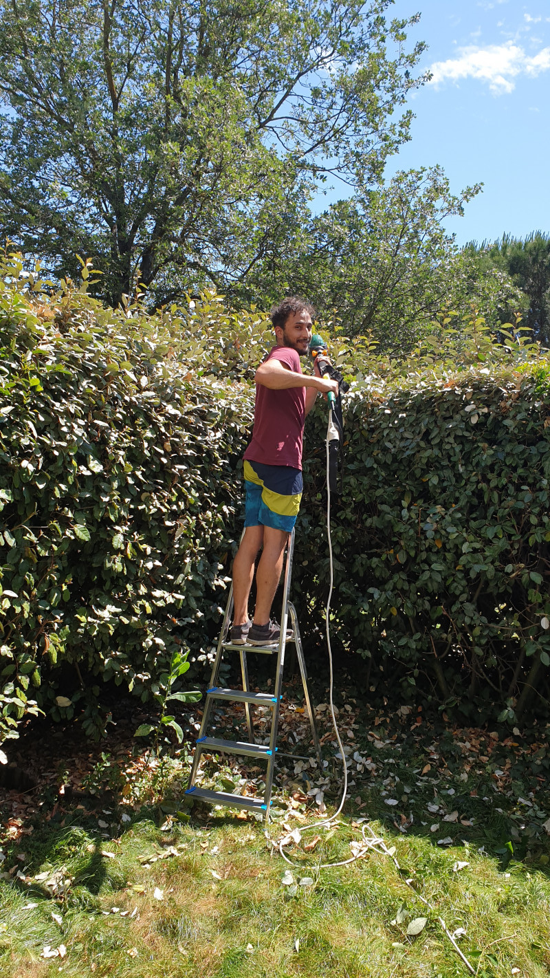 Jardinage À Toulouse (31000) : Annonces Et Offres D'emploi tout Cherche Jardinier Cher