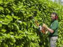 Jardinage Dans Les Alpes-Maritimes : Annonces Et Offres D'emploi dedans Cherche Jardinier Cher