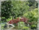 Le Petit Pont Du Jardin Japonais Arts Numériques Par Didier ... pour Aquarelle Jardin Japonais