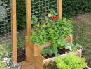 Le Potager Gourmand - Botanic® | Trädgårdsidéer ... destiné Aménagement Potager Idées