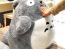 Livraison Gratuite Totoro Chinchilla Totoro Géant En Peluche ... serapportantà Coussin Totoro Geant
