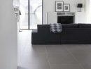 Modern Living Room, Simple Porcelain Stoneware In Gray ... serapportantà Dalle Ardoise 100X100