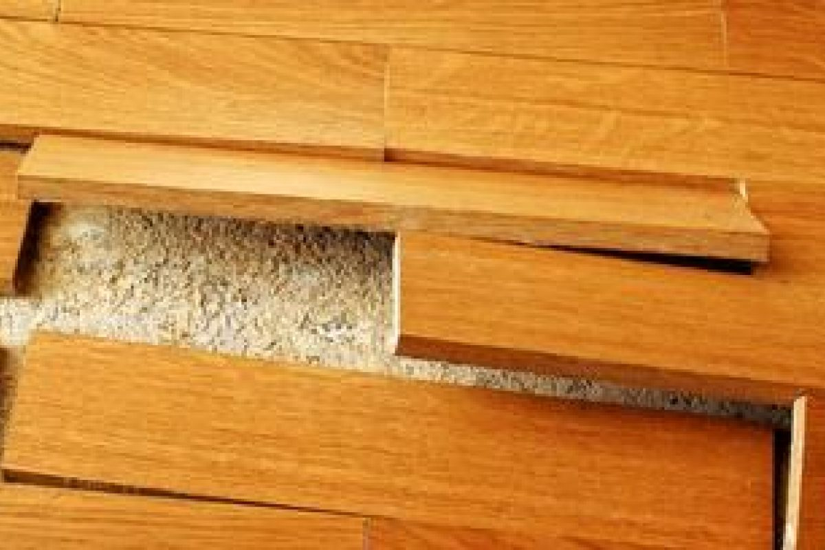 Parquet Flottant Gondolé : Que Faire ? concernant Parquet Flottant Gondole