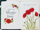 Plan With Me | Comment Dessiner Une Fleur, Bullet Journal ... dedans But Plan De Campagne