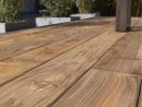 Planche Bois Douglas Naterial, Marron, L.250 X L.14 Cm X Ep ... avec Lame Terrasse Ipe