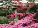 Planten Un Blomen - Hamburg | Parc Floral, Jardins Et Jardinage encequiconcerne Jardin Japonais Plantes Couvre-Sol