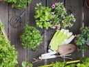 Quatre Bons « Plants » Pour Jardiner Au Balcon concernant Créer Son Jardin Virtuel Gratuit