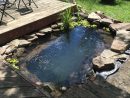 Tips For Building Ponds In Your Backyard | Bassin De Jardin ... pour Bassin Zen Exterieur