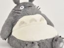 Top 55+ Des Cadeaux Pour Les Fans De Totoro, Avis Aux ... à Coussin Totoro Geant