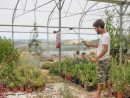Vis Ma Vie D'artisan : Sébastien, Horticulteur Aux Serres Du ... concernant Le Bon Coin Serre De Jardin Occasion Particulier