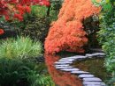 10 Plantes Vivaces Pour Jardin Japonais concernant Plante Jardin Japonais