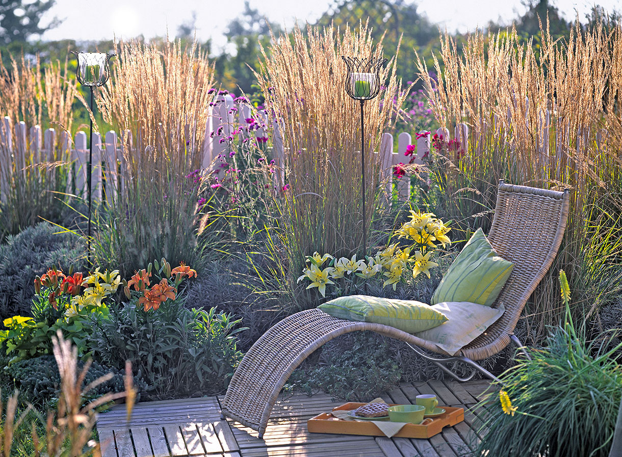 12 Idées De Brise-Vue Pour Jardin [Plante, Haie, Bambou ... dedans Brise Vent Jardin