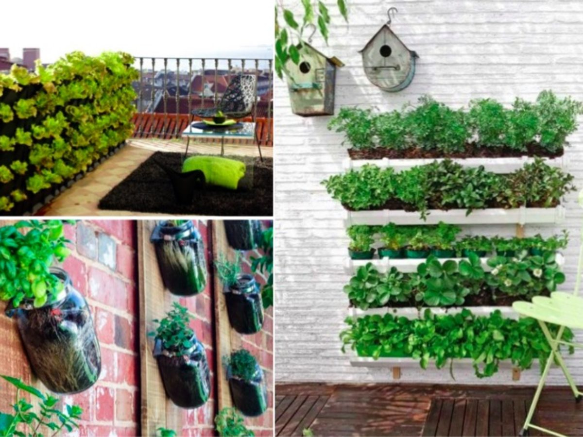 16 Idées Pour Créer Un Petit Potager Sur Son Balcon destiné Faire Un Petit Potager Dans Son Jardin